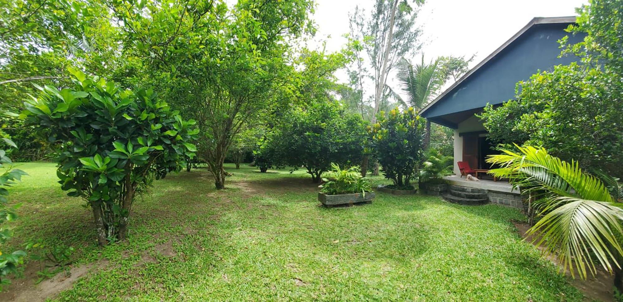 Bed and Breakfast Les Citronniers Ile Sainte-Marie Exterior foto